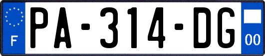 PA-314-DG