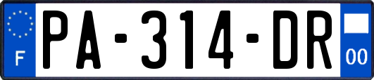 PA-314-DR