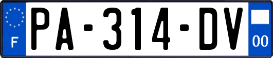 PA-314-DV