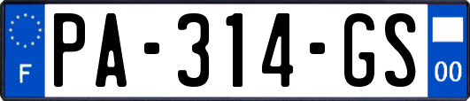 PA-314-GS