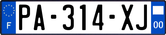 PA-314-XJ