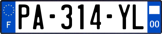 PA-314-YL