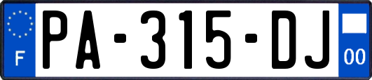 PA-315-DJ