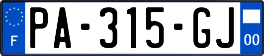 PA-315-GJ