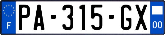 PA-315-GX