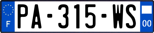 PA-315-WS