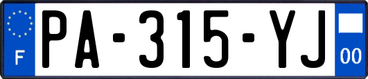 PA-315-YJ