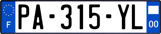 PA-315-YL