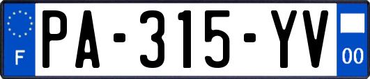 PA-315-YV