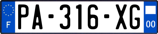 PA-316-XG