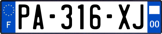 PA-316-XJ
