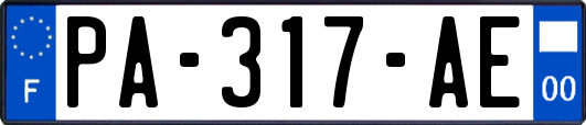 PA-317-AE
