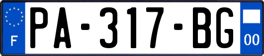PA-317-BG