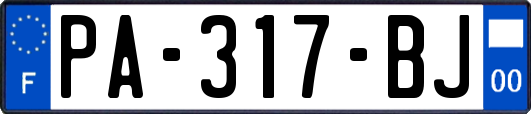 PA-317-BJ