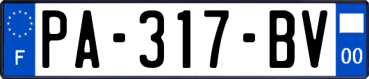 PA-317-BV