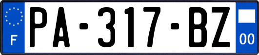 PA-317-BZ