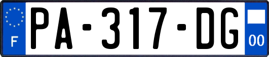 PA-317-DG