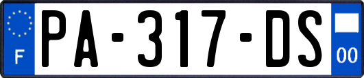 PA-317-DS