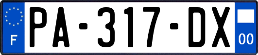 PA-317-DX