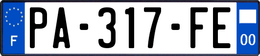 PA-317-FE