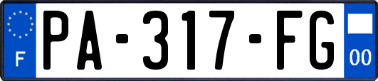 PA-317-FG