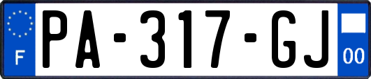 PA-317-GJ