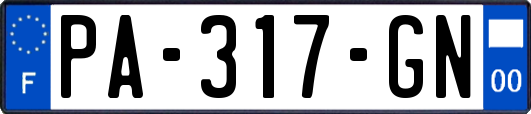 PA-317-GN