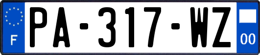 PA-317-WZ