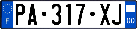 PA-317-XJ