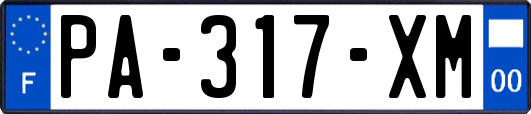 PA-317-XM