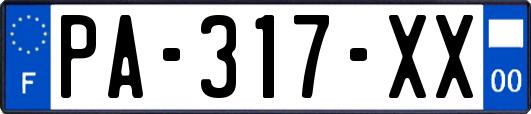 PA-317-XX