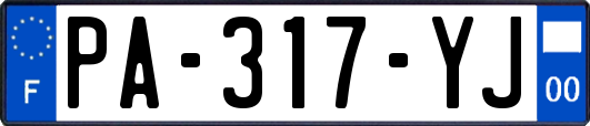 PA-317-YJ