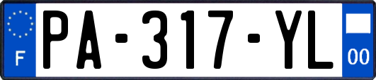 PA-317-YL
