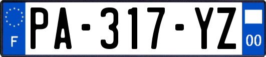 PA-317-YZ