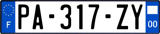 PA-317-ZY
