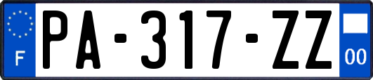 PA-317-ZZ