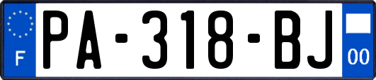PA-318-BJ