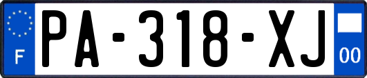 PA-318-XJ