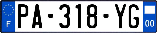 PA-318-YG