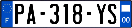 PA-318-YS