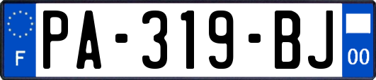 PA-319-BJ