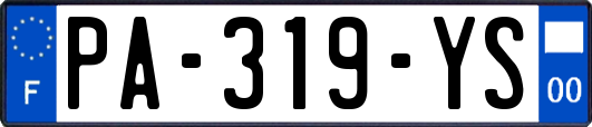 PA-319-YS