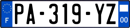 PA-319-YZ