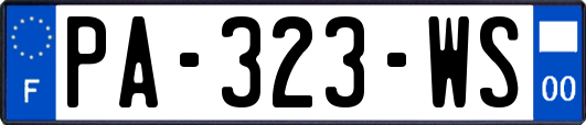 PA-323-WS