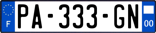 PA-333-GN