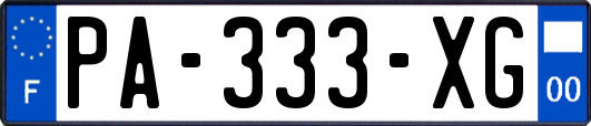 PA-333-XG