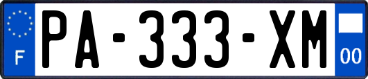 PA-333-XM