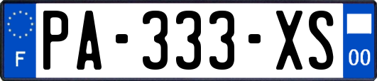 PA-333-XS