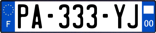 PA-333-YJ
