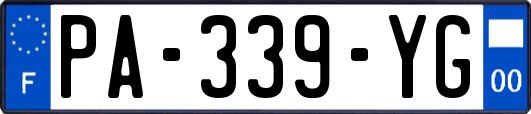 PA-339-YG